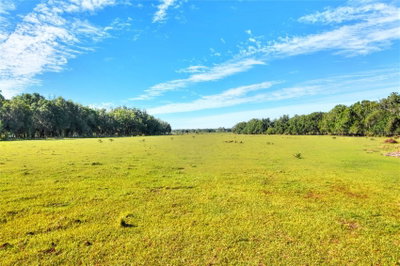 18100 DORMAN Road, Lithia, FL, 33547 — photo 2