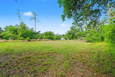 4103 STANLEY Road, Plant City, FL, 33565 — photo 2