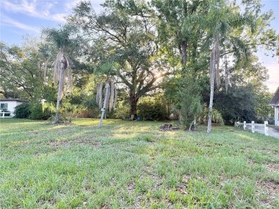 304 SPRINGDALE PLACE, Temple Terrace, FL, 33617 — photo 2