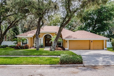 10131 PADDOCK OAKS Drive, Riverview, FL, 33569 — photo 2