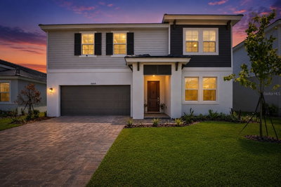 10009 SURREY ROSE Drive, San Antonio, FL, 33576 — photo 2