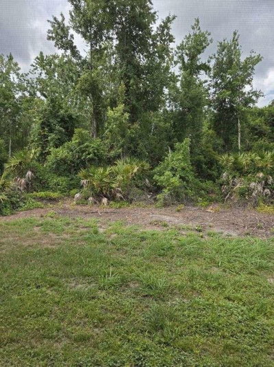 9321 HUNTINGTON Parkway, Tampa, FL, 33647 — photo 2