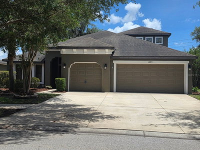 15723 STARLING WATER Drive, Lithia, FL, 33547 — photo 2