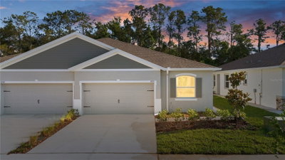31351 PAPER BIRCH Street, Wesley Chapel, FL, 33545 — photo 2