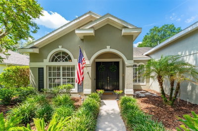 15211 MERLINGLEN Place, Lithia, FL, 33547 — photo 2