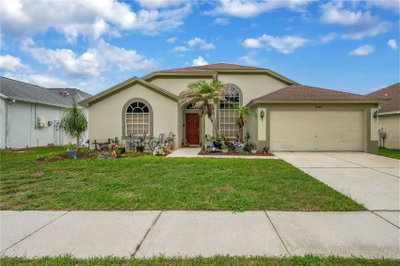 18140 PALM BREEZE Drive, Tampa, FL, 33647 — photo 2