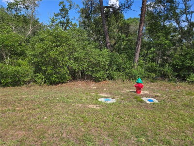 00 MARION OAKS Boulevard, Ocala, FL, 34473 — photo 2