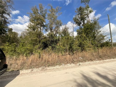 OLD SPANISH Road, Fort White, FL, 32038 — photo 2