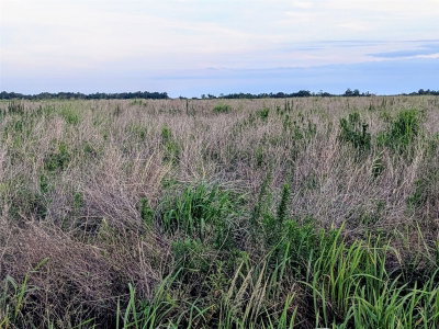 TOM BRYAN RD, Zolfo Springs, FL, 33890 — photo 2
