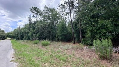 3223 E SCOFIELD ST, Inverness, FL, 34453 — photo 2