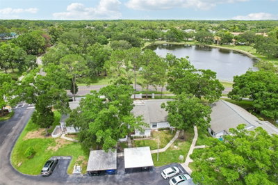 3878 TANAGER Place, Palm Harbor, FL, 34685 — photo 2