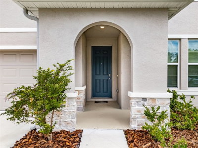13090 BROOKSIDE MOSS Drive, Riverview, FL, 33579 — photo 2