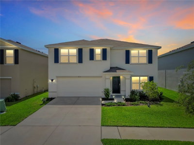 16531 WINDMILL FORGE Pass, Wimauma, FL, 33598 — photo 2