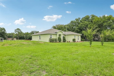 9876 PANGOLA Loop, Land O Lakes, FL, 34639 — photo 2