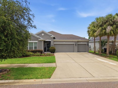 17735 BRIGHT WHEAT Drive, Lithia, FL, 33547 — photo 2