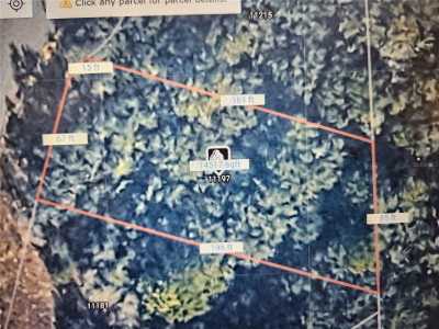 11197 DENICE Point, Dunnellon, FL, 34434 — photo 2