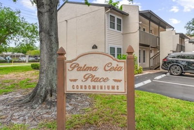 527 LINCOLN Avenue, Tampa, FL, 33609 — photo 2