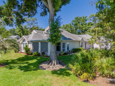 911 GOLFVIEW WOODS Drive, Sun City Center, FL, 33573 — photo 2