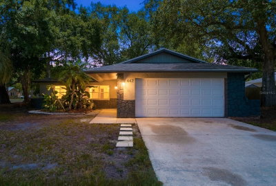 442 EVERGREEN Drive, Oldsmar, FL, 34677 — photo 2