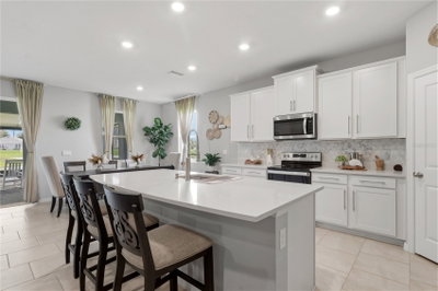 11316 SPOONBILL FLOCK Way, San Antonio, FL, 33576 — photo 2