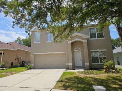 1147 EMERALD HILL Way, Valrico, FL, 33594 — photo 2