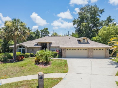 2899 TURTLE Terrace, Palm Harbor, FL, 34683 — photo 2