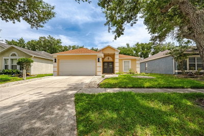 19204 WOOD SAGE Drive, Tampa, FL, 33647 — photo 2