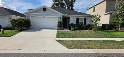 9938 MESIC WOODS Avenue, Seffner, FL, 33584 — photo 2