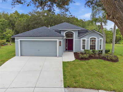 6003 CHELLAS Court, Lutz, FL, 33558 — photo 2
