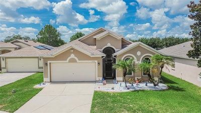 11115 SILVER DANCER Drive, Riverview, FL, 33579 — photo 2