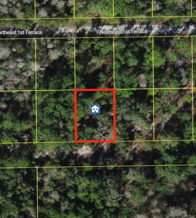 1243 1ST Street, Crystal River, FL, 34429 — photo 2