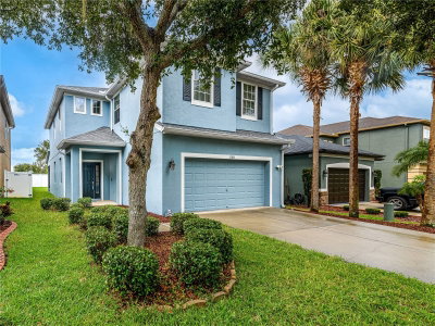 12833 GENEVA GLADE Drive, Riverview, FL, 33578 — photo 2