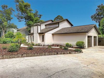 87 1ST Avenue, Lutz, FL, 33548 — photo 2