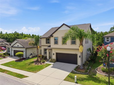 30643 WALKER CUP Place, Wesley Chapel, FL, 33543 — photo 2