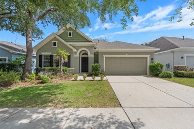 15814 STARLING WATER Drive, Lithia, FL, 33547 — photo 2
