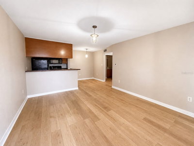 203 LAKE PARSONS Green, Brandon, FL, 33511 — photo 2