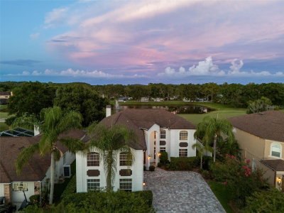 15615 SHOAL CREEK Place, Odessa, FL, 33556 — photo 2