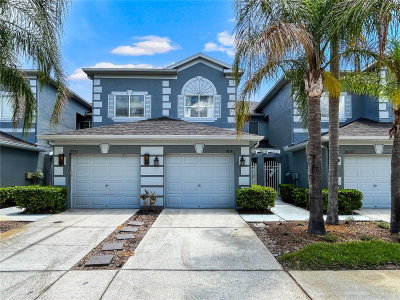 18141 NASSAU POINT Drive, Tampa, FL, 33647 — photo 2