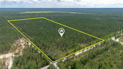 90TH STREET Road, Fort Mc Coy, FL, 32134 — photo 2