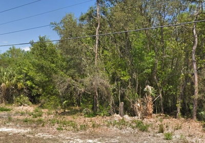 4030 KINGS Avenue, Homosassa, FL, 34446 — photo 2