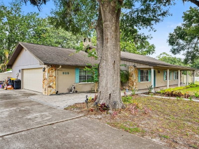 928 TIMBERGREEN Drive, Lakeland, FL, 33809 — photo 2
