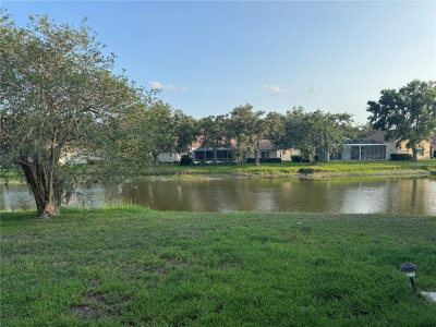 10207 QUAILS LANDING Avenue, Tampa, FL, 33647 — photo 2