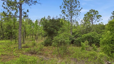 0000 PLAZA COURT Court, Dunnellon, FL, 34431 — photo 2