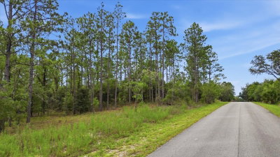0000 SANDS POINT AVE LOT 38, Dunnellon, FL, 34431 — photo 2