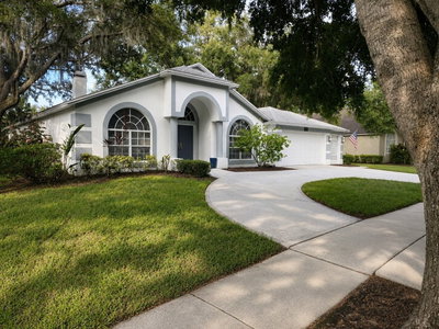 15211 ARBOR HOLLOW Drive, Odessa, FL, 33556 — photo 2