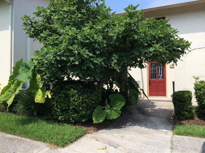 200 MAITLAND Avenue, Altamonte Springs, FL, 32701 — photo 2