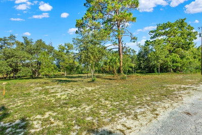 CONDOR Road, Brooksville, FL, 34614 — photo 2