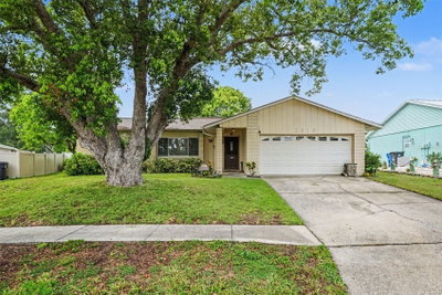 2815 LINDEN TREE Street, Seffner, FL, 33584 — photo 2