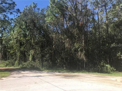 7341 WESTPOINT Drive, Wesley Chapel, FL, 33544 — photo 2