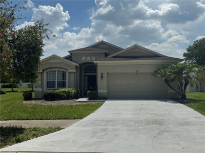 317 DOWN PINE Drive, Seffner, FL, 33584 — photo 2